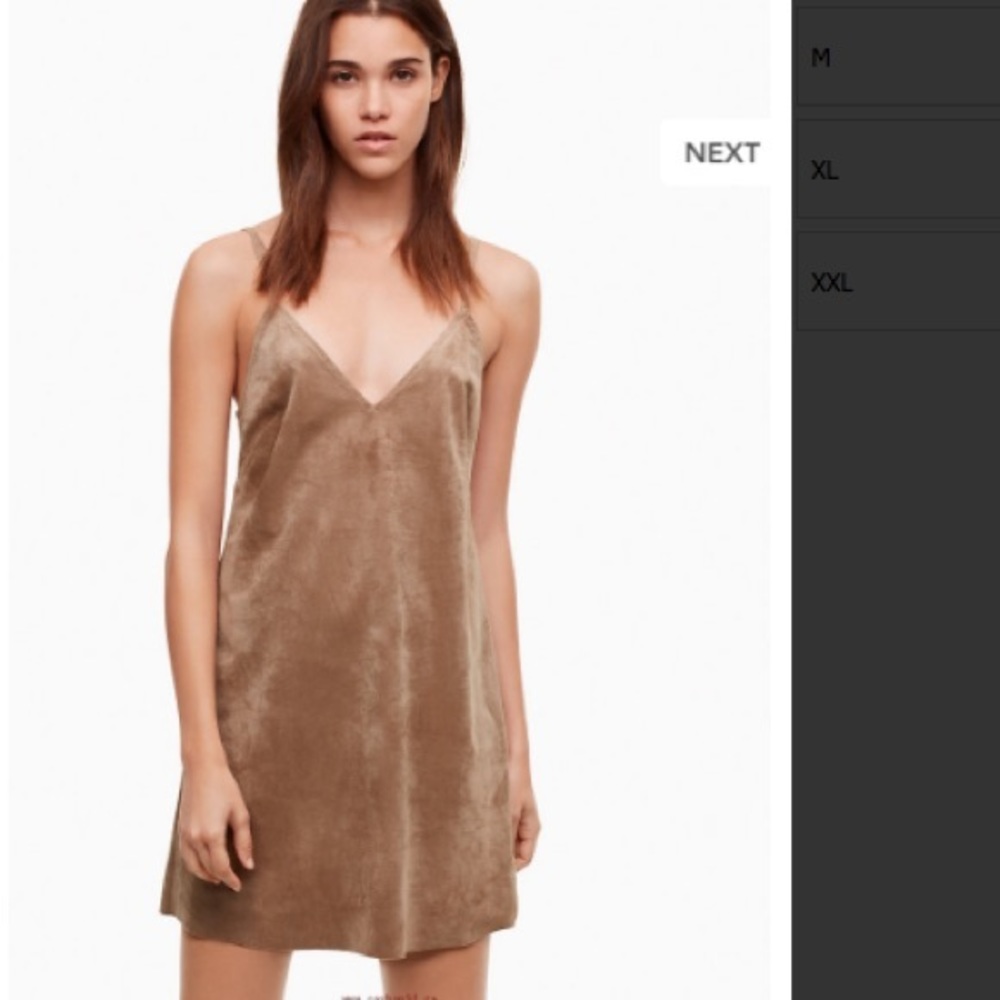 Aritzia Vivienne Tan Suede Dress